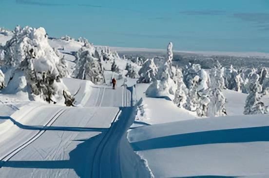 Fantastic And High Standard Apartment In Nordseter Lillehammer Zewnętrze zdjęcie